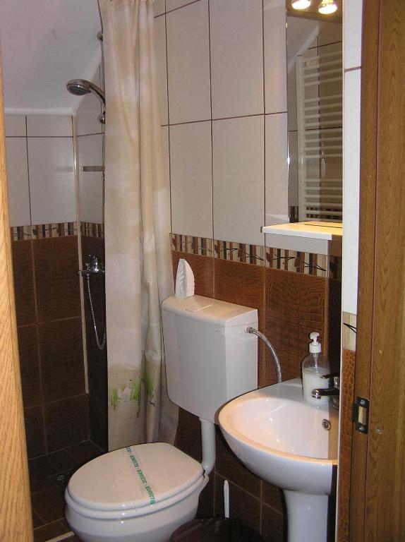Pensiunea Miorita Arad Zimmer foto